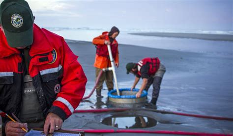 fish and wildlife|Current Job Openings .